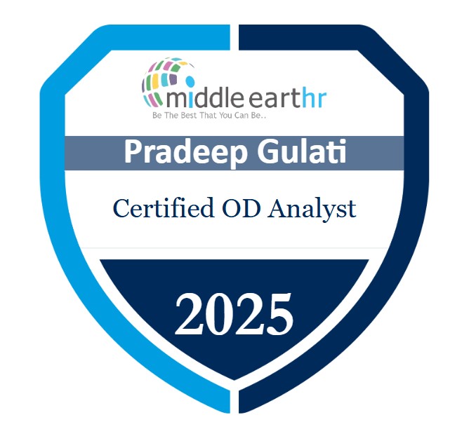 Professional Certificate 2